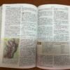 NTV Biblia de Estudio del Diario Vivir para Jóvenes (Rosa Pastel)