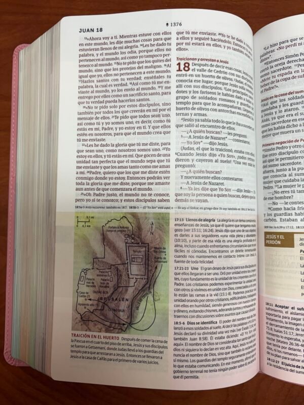 NTV Biblia de Estudio del Diario Vivir para Jóvenes (Rosa Pastel)