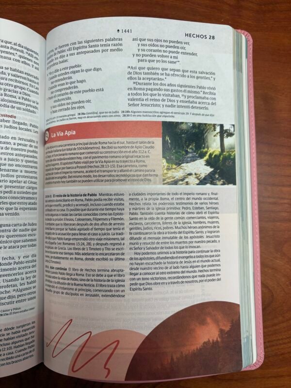 NTV Biblia de Estudio del Diario Vivir para Jóvenes (Rosa Pastel)