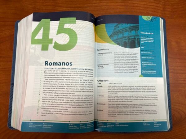 NTV Biblia de Estudio del Diario Vivir (Azul)