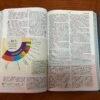 NTV Biblia de Estudio del Diario Vivir (Azul)