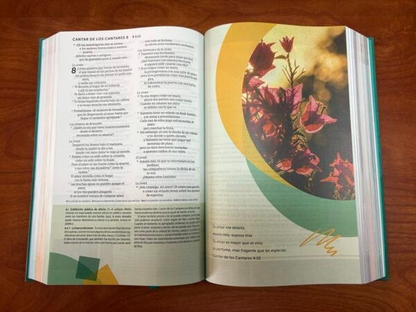 NTV Biblia de Estudio del Diario Vivir (Tapa Dura Verde)