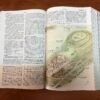 NTV Biblia de Estudio del Diario Vivir (Tapa Dura Verde)