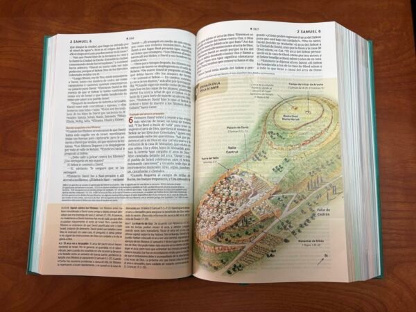 NTV Biblia de Estudio del Diario Vivir (Tapa Dura Verde)