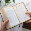 Biblia de Promesas Jesús para Todos (Blanco Marfil)