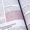 Biblia de Promesas Jesús para Todos (Blanco Marfil)