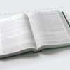 Comentario al Nuevo Testamento William Barclay