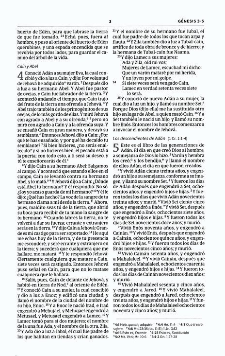 Biblia Económica de Evangelismo (tapa azul rústica)