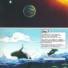 The Action Bible: God's Redemptive Story
