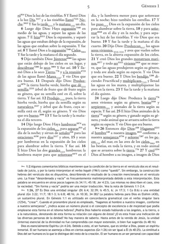 Biblia de Estudio Palabra Clave (Negro)