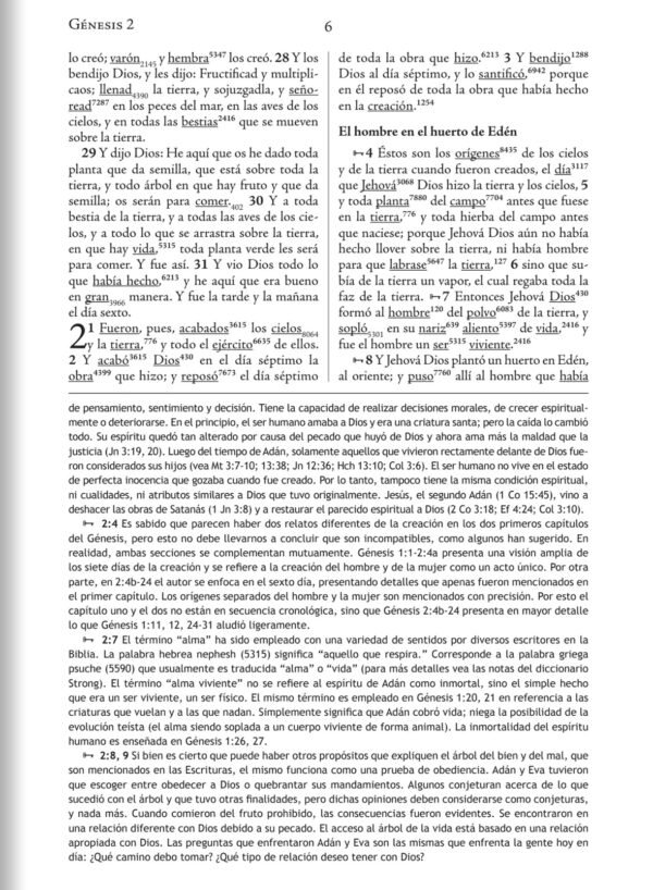 Biblia de Estudio Palabra Clave (Negro)