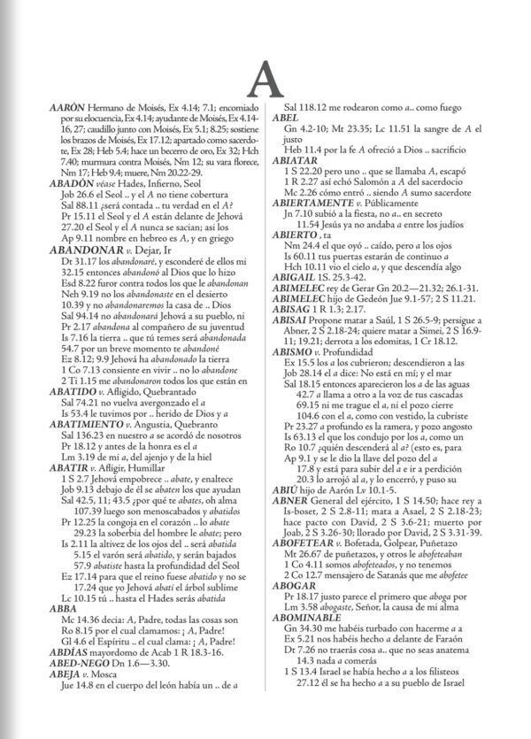 Biblia de Estudio Palabra Clave (Negro)