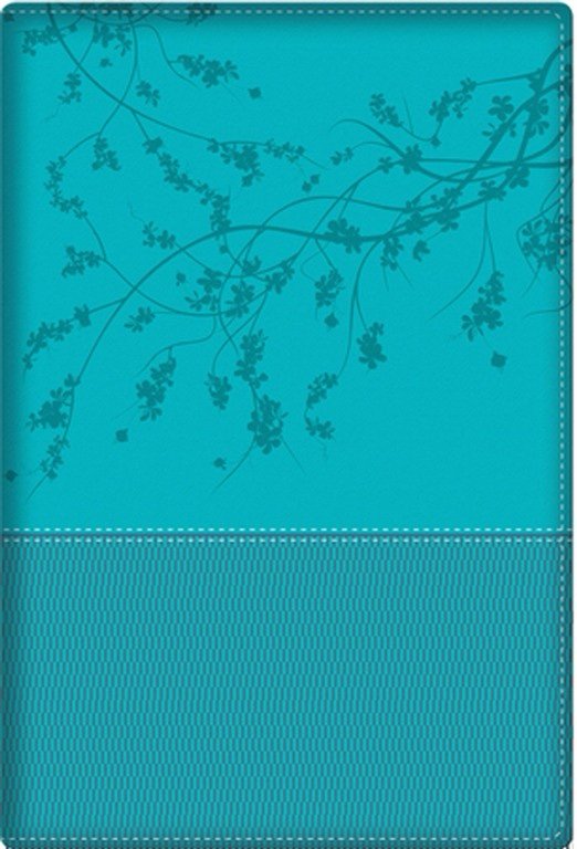 Biblia de la Mujer conforme al corazón de Dios (Aqua)