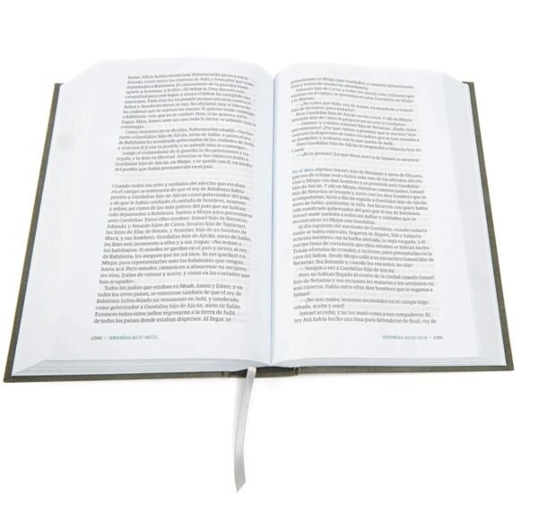 NVI Biblia del Lector (Olivo en Tela)