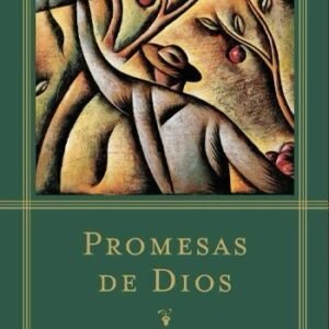 Promesas de Dios para una de sus necesidades