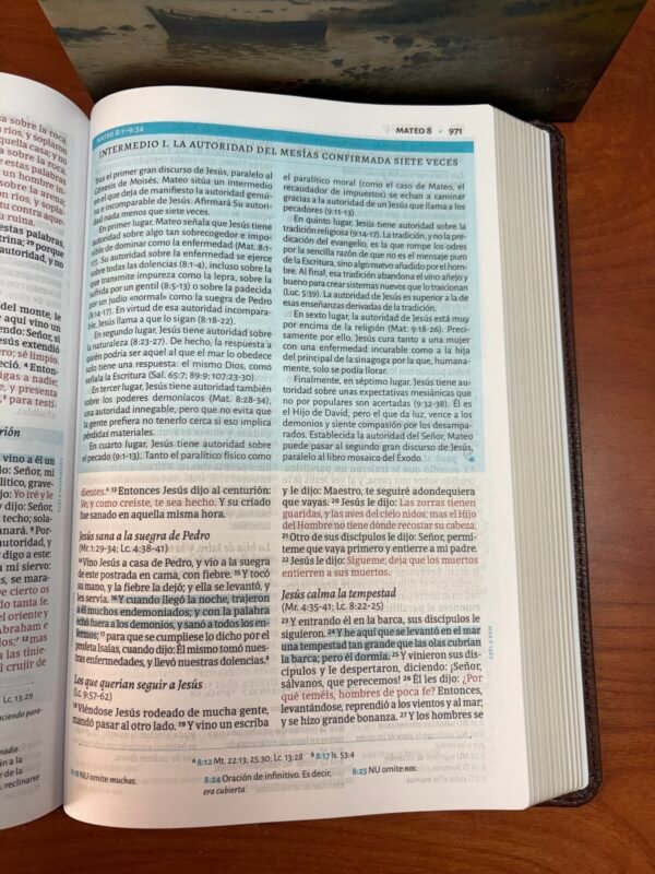 Biblia de Estudio César Vidal