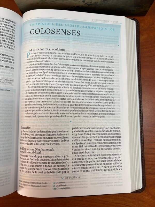 Biblia de Estudio César Vidal