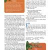 NIV Adventure Bible, (Hardcover)