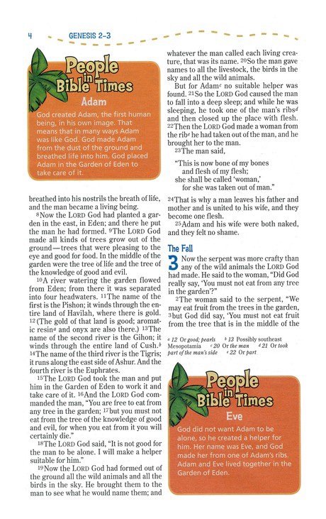 NIV Adventure Bible, (Hardcover)