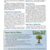 NIV Adventure Bible, (Hardcover)