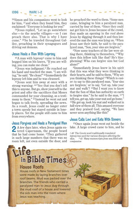NIV Adventure Bible, (Hardcover)
