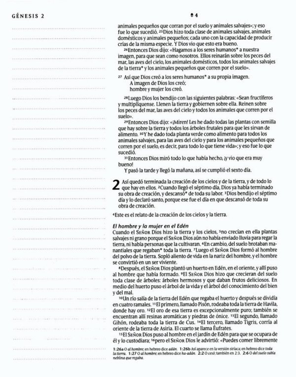 Biblia Inspira NTV, letra grande con Filament, SentiPiel, Ramo azul