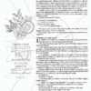 Biblia Inspira NTV, letra grande con Filament, SentiPiel, Primaveral