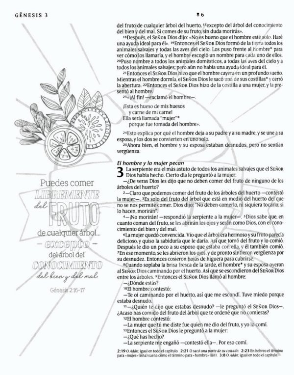 Biblia Inspira NTV, letra grande con Filament, SentiPiel, Primaveral