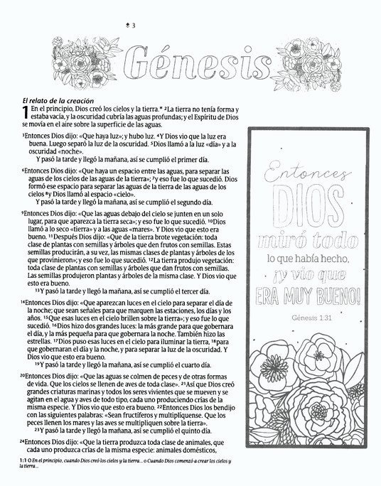 Biblia Inspira NTV con Filament, SentiPiel, Acuarela rosa