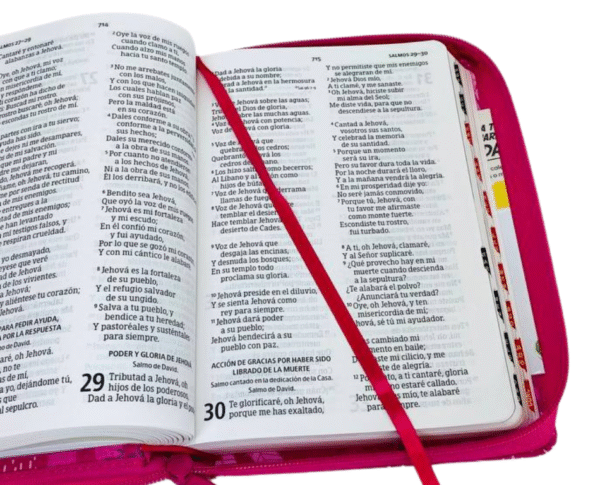 Biblia Interactiva para niñas letra grande (Rosa con Índice y zipper )
