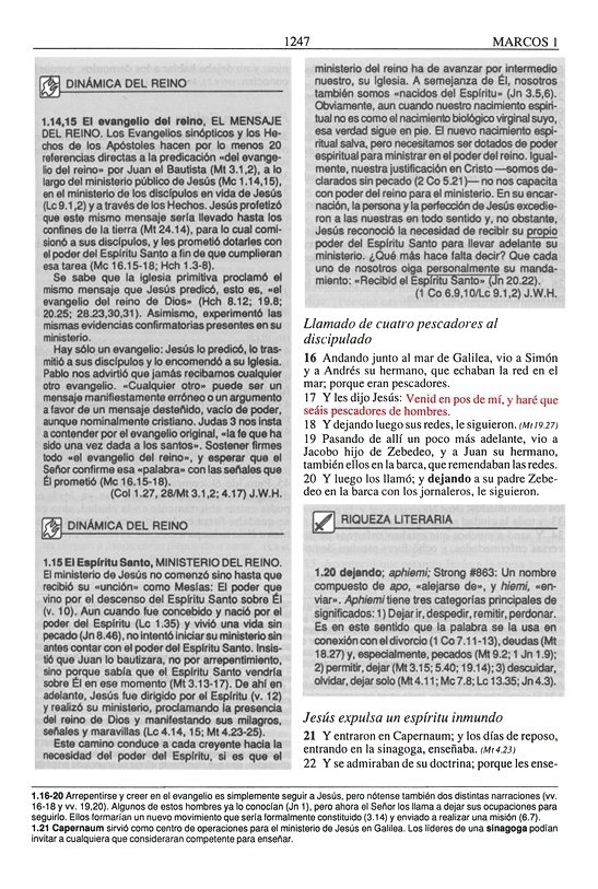 Biblia Plenitud RVR 1960, Enc. Dura