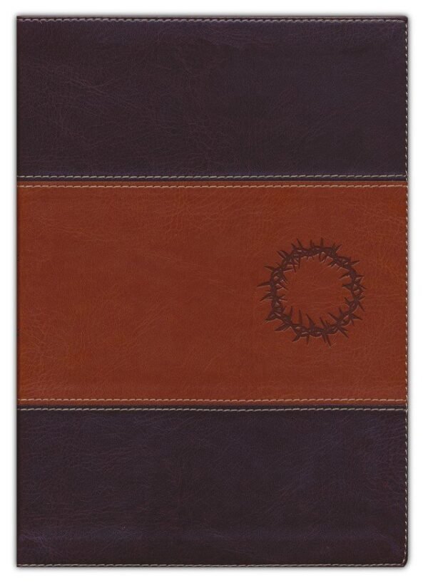 Biblia de estudio del diario vivir NTV (letra grande)