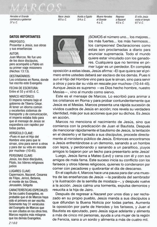 Biblia de estudio del diario vivir NTV (letra grande)