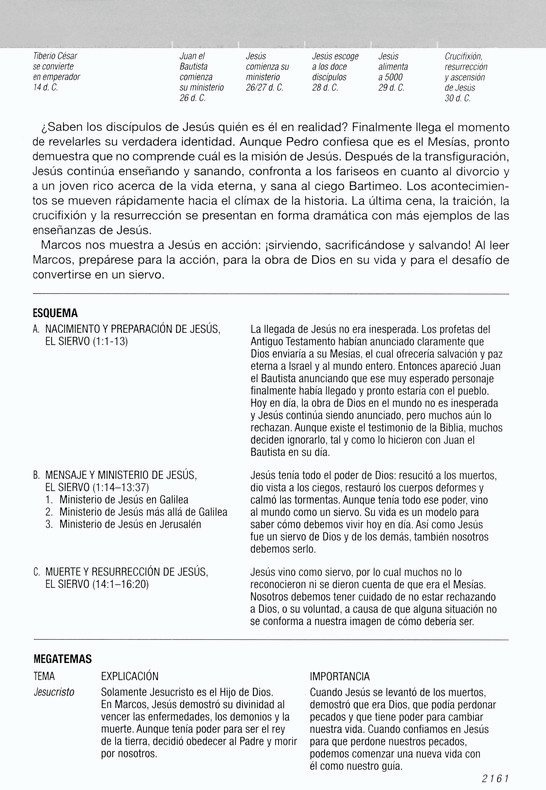 Biblia de estudio del diario vivir NTV (letra grande)