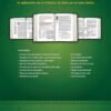 Biblia de estudio del diario vivir NTV (letra grande)
