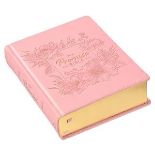 img_7011 Pink Hardcover Faux Leather KJV My Promise Bible