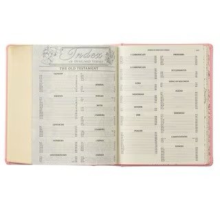 img_7017 Pink Hardcover Faux Leather KJV My Promise Bible