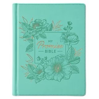 img_7020 Teal Faux Leather Hardcover KJV My Promise Bible