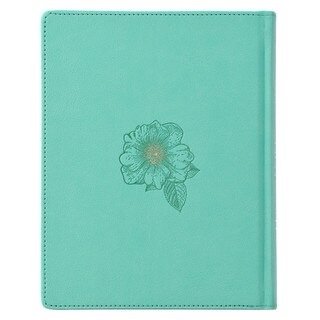 img_7021 Teal Faux Leather Hardcover KJV My Promise Bible