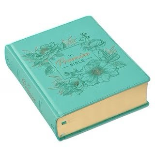 img_7023 Teal Faux Leather Hardcover KJV My Promise Bible