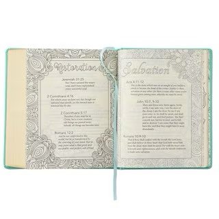 img_7026 Teal Faux Leather Hardcover KJV My Promise Bible