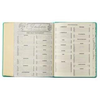 img_7027 Teal Faux Leather Hardcover KJV My Promise Bible