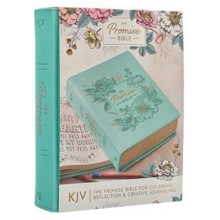img_7031 Teal Faux Leather Hardcover KJV My Promise Bible