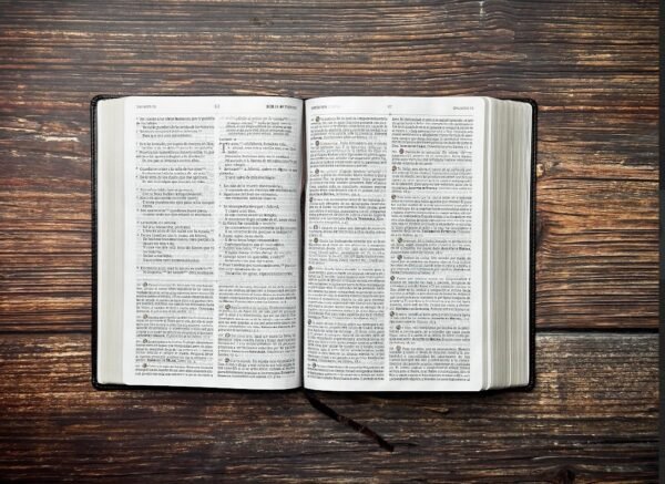 Biblia de Estudio Patrística Marrón