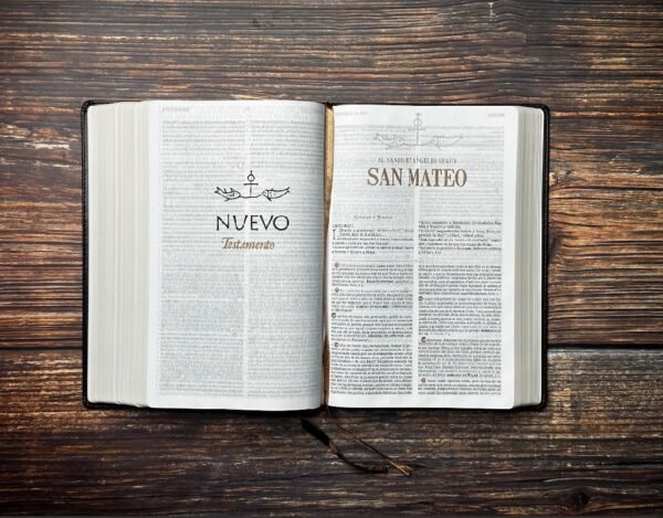 Biblia de Estudio Patrística Marrón