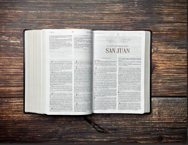 Biblia de Estudio Patrística Marrón