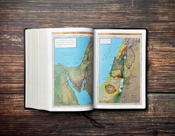 Biblia de Estudio Patrística Marrón