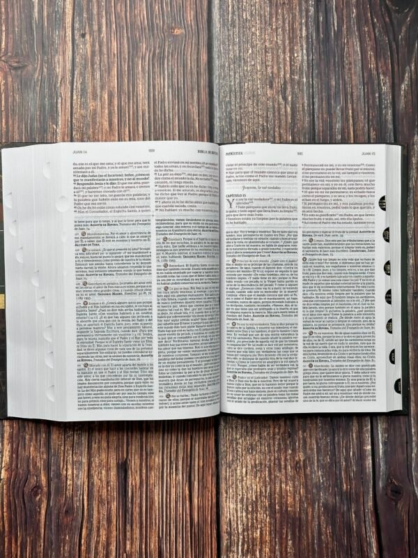 Biblia de Estudio Patristica Tapa Dura Índice