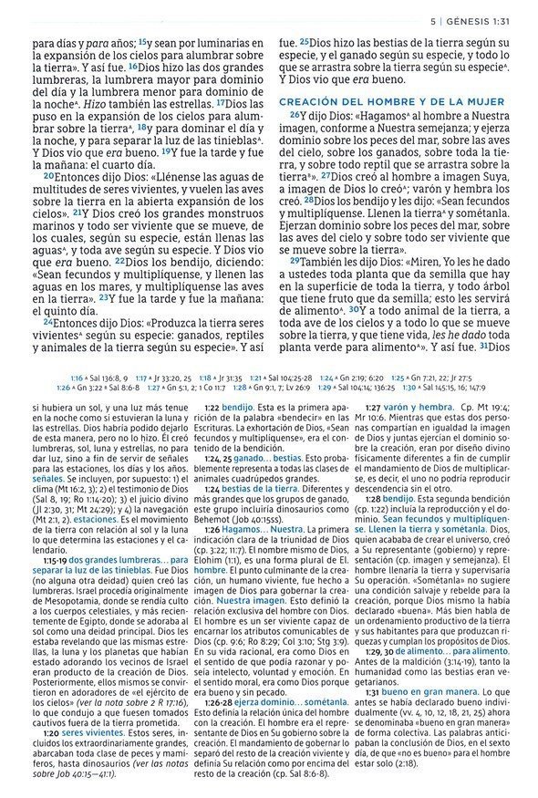 NBLA Biblia de Estudio MacArthur Piel Marrón