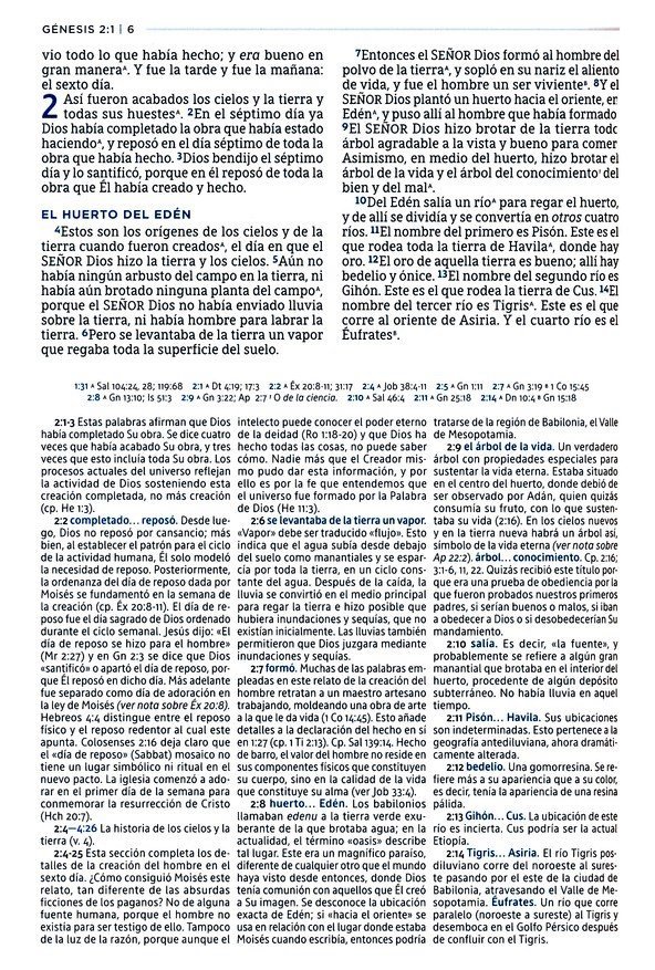 NBLA Biblia de Estudio MacArthur Piel Marrón